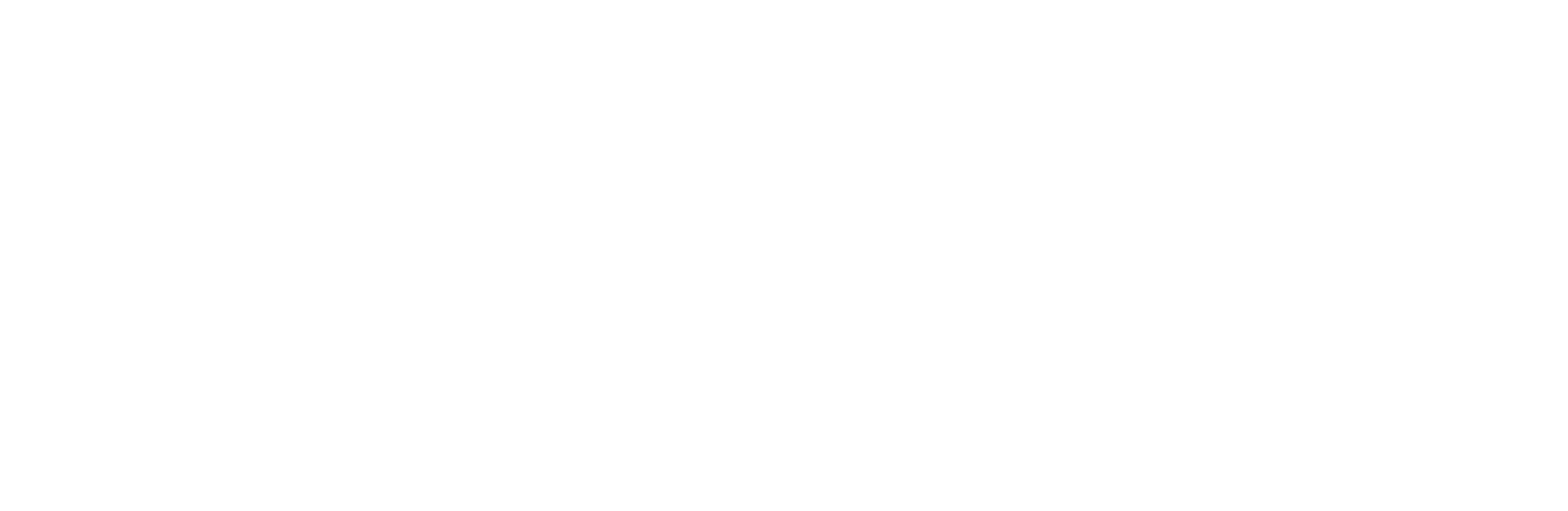 Light Speed Campaigns